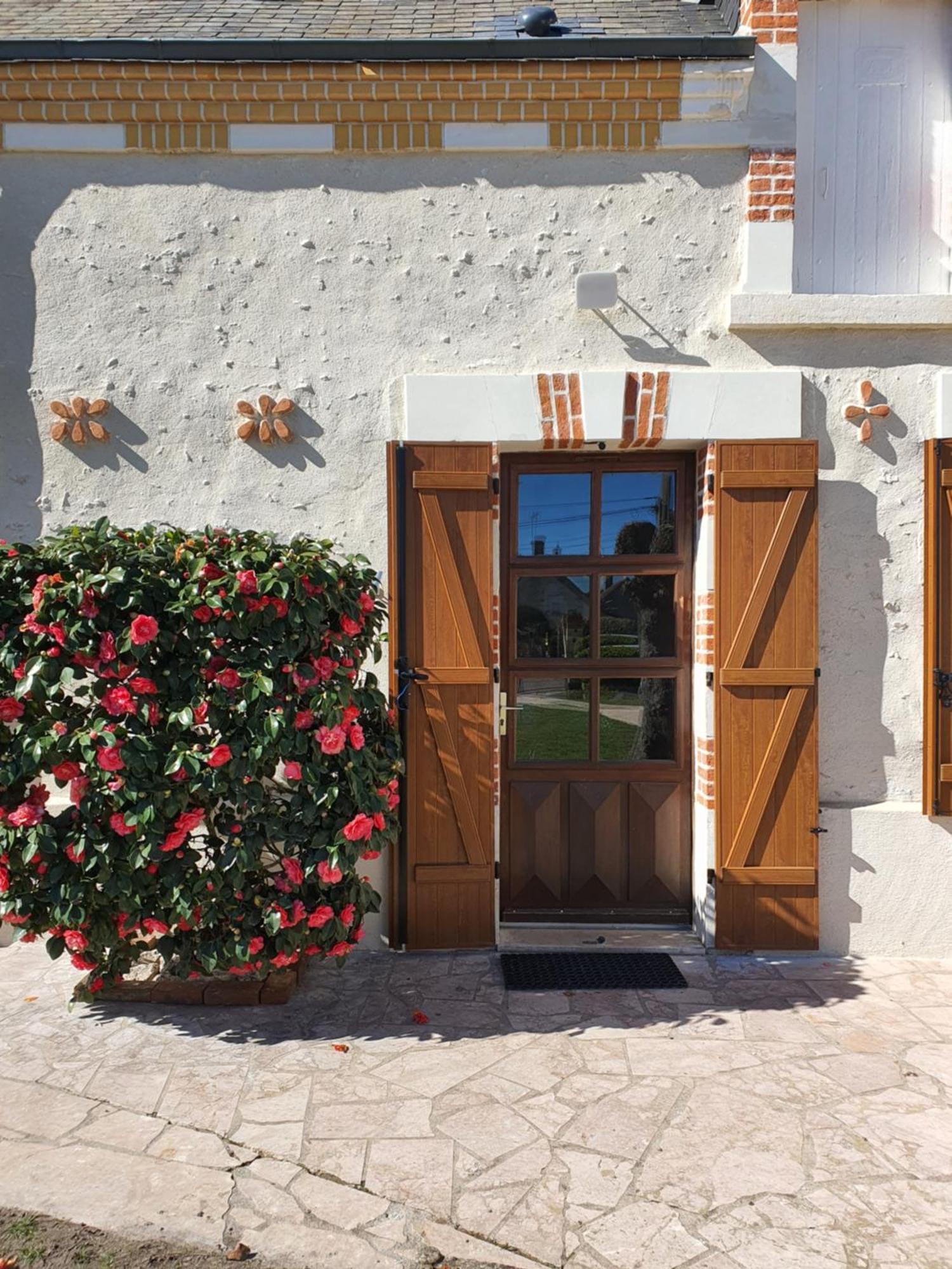 Les Camelias Villa Selles-sur-Cher Dış mekan fotoğraf